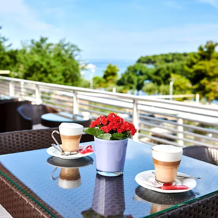 Molindrio Plava Laguna Hotel 4*